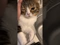 エマニエルぽこ太郎#shorts