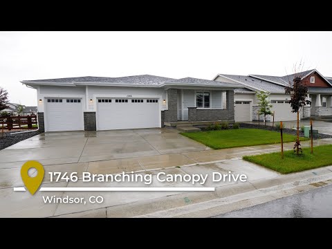 1746 Branching Canopy Dr, Windsor, CO home video tour