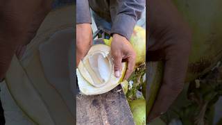 Download Lagu Perfect coconut cutting skill 🤫#shorts #satisfying MP3