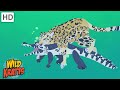 Wildlife Adventure Quiz