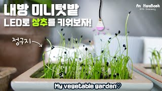 #미니텃밭 만들기2 _ LED식물생장등 효과가 있을까? (상추/부추/시금치/적겨자/케일) _ My indoor vegetable garden♥