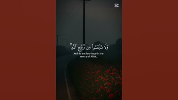 سورة يوسف خالد الجليل تلاوة خاشعة تملأ قلبك بالطمأنينة والسكينة #قران_كريم #تلاوة_خاشعة #سورة_يوسف