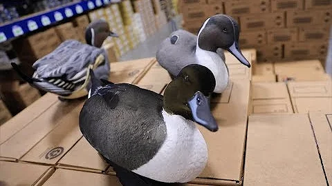 Pintail Decoy Comparison
