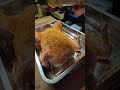 Everdure Fusion - First Cook #BBQ #BBQShack #Chickwn