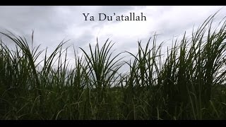 Video Lipsing Muhammad Mu'izuddin - Yaa Du'atallah