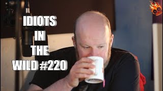 IDIOTS IN THE WILD #220