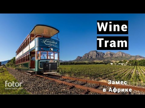 Franschhoek Wine Tram. Винный трамвай в Кейптауне. ЮАР. Замес в Африке, часть 21