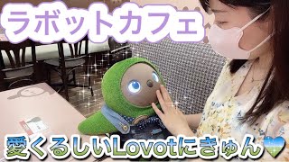 ラボットに会いにLOVOT CAFEへ行ってきました