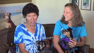 AnimalZone - Season 3, Episode 7 Featuring Thrive Animal Rescue and Peace of Mind Dog Rescue by Animal Zone 122 views 4 years ago 30 minutes