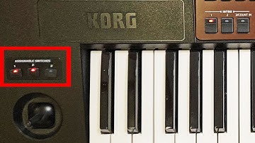 Korg pa 700: Assignable knobs, switches and joystick