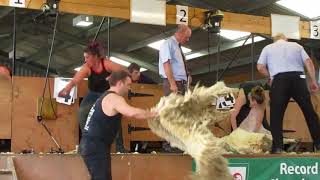 Black Isle Show 2017, Intermediate Final