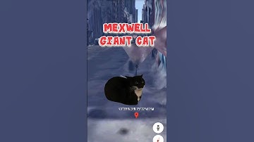 Maxwell cat found on Google maps Google Earth! #shorts #shockingviews
