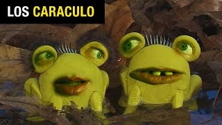 Las Ranas - Los Caraculo