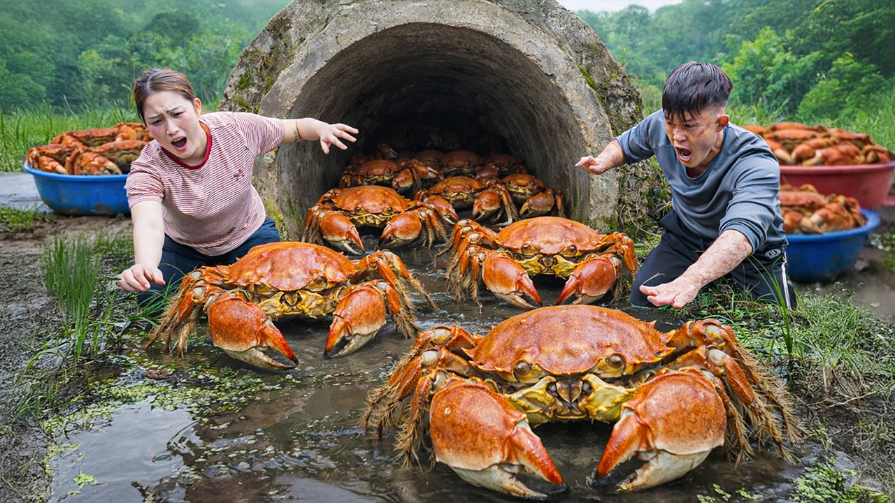 Harvesting Giant Hairy Crabs by Stream, Cooking Spicy Crab Soup | Rustic Rural Dish You Must Try