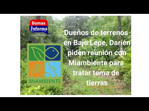 Dueños de tierras en Bajo Lepe en Darién piden reunirse con Miambiente