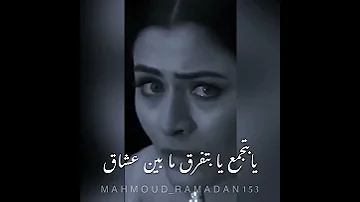 رامي صبري ولسه ياما هنودع ونتودع 