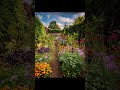 garden design,small garden,garden ideas,garden,small garden design,garden design ideas,small garden
