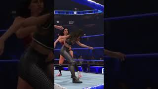 The Bella Twins Made A Return