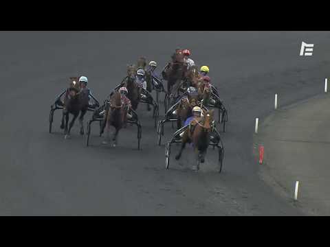 Prix Annick Dreux - Critérium des Pouliches 2019 | Gunilla d'Atout | Vincennes | Groupe 2 - Prix Annick Dreux - Critérium des Pouliches 2019 | Gunilla d'Atout | Vincennes | Groupe 2