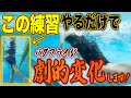 【バタフライ】キックを変えるとめちゃくちゃスイム変わります!うまい人はみんなやってる!?/第二キック/腸腰筋/練習/コツ #219