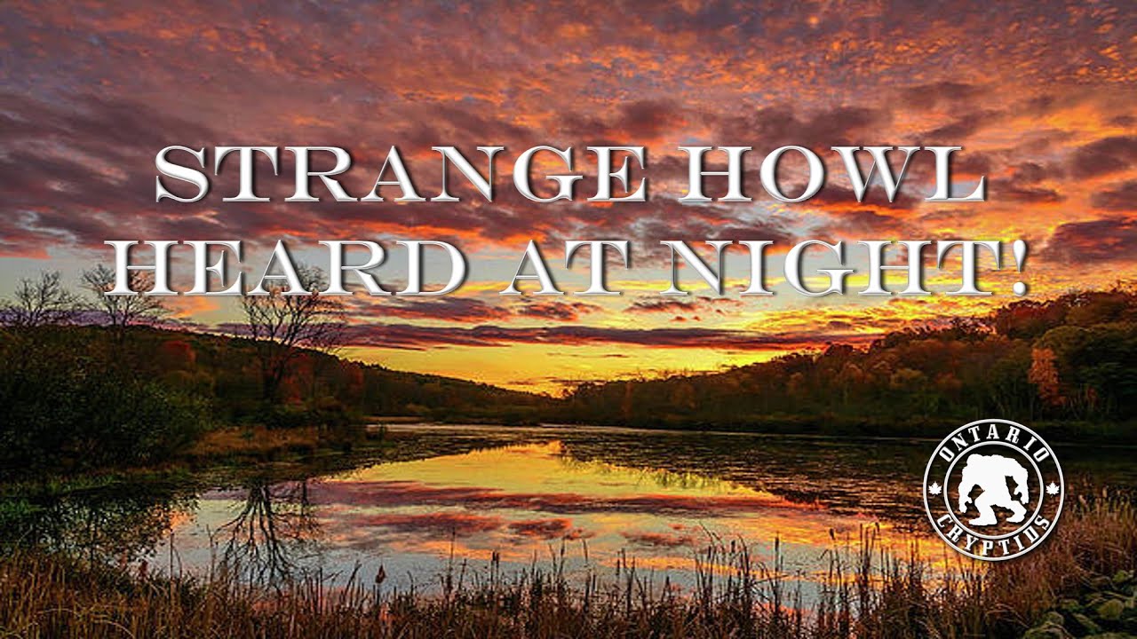 Strange Howl Heard At Night! [EP-52] - YouTube