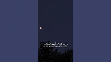 سوره النساء بصوت ياسر الدوسري اكتب شي تؤجر عليه#قران#قران_كريم#راحة_نفسية #ياسر_الدوسري#سوره_النساء