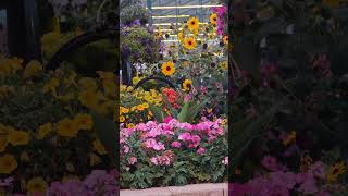 Boulevard Flower, Riyadh