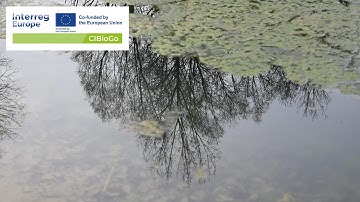 CiBioGo | 1st PRV, Belgium | Biological Data