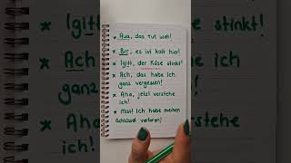 Almancada Interjektionen Ünlemler