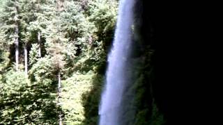 Silver falls may 2014