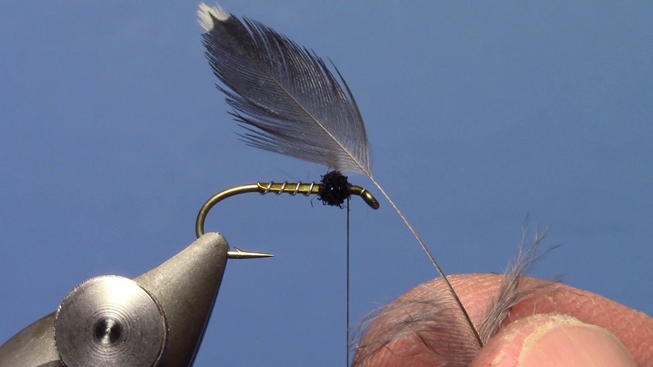 Starling and Olive Soft Hackle - YouTube