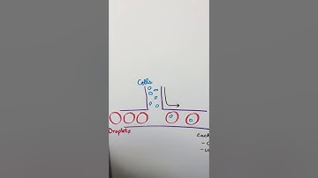 Single Cell RNA sequencing 10x genomics