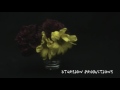Time lapse flower series 6