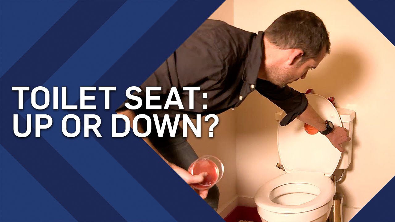 Toilet Seat Up Or Down? | Brit Lab