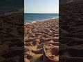 Марьевка пляж Опук