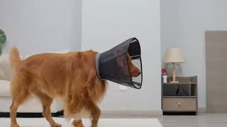 Mesh Dog Cone with Soft Detachable Padding screenshot 5