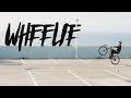 How To WHEELIE - Auf dem Hinterrad Fahrrad fahren | MTB Basic Tricks lernen | Fabio Schäfer