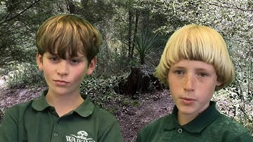 Footprint - waikino data detectives