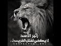 زئير الاسد لا يكفي لقتل الفريسه حالات واتساب زئير الاسد لا يكفي لقتل الفريسه حالات واتساب
