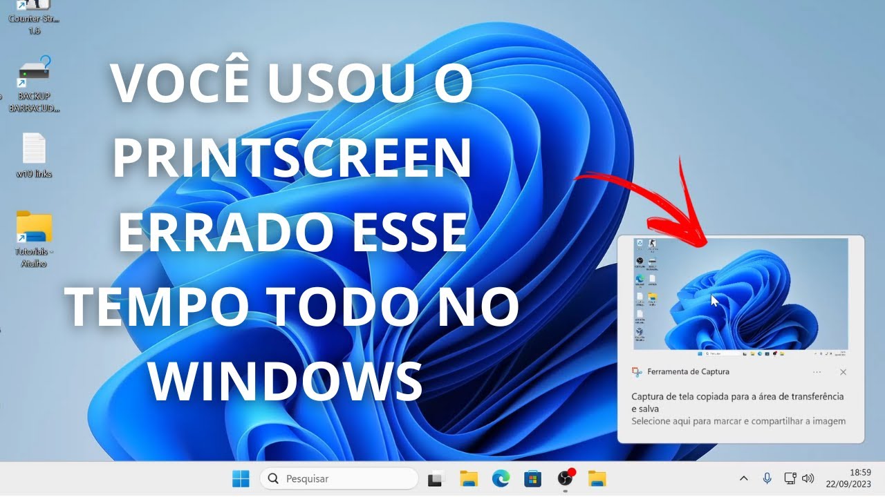 Veja como configurar a ferramenta de pesquisa do Windows 1903