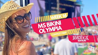 Miss Bikini Olympia Week 14: Balancing Fun and Fitness My Journey Through Tortuga Music Festival!