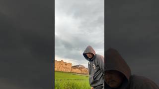 Theres A Rabbit In The Hole funny comedy