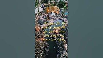 #صلوا_على_النبي #أكثروا_الصلاة_على_نبينا_محمد_من_يوم_الجمعة #قران_كريم #تلاوة_خاشعة #اترك_اثرا_طيبا