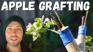 Apple grafting Masterclass from Tom Barry by Off Grid Bruce 7,467 views 1 year ago 28 minutes