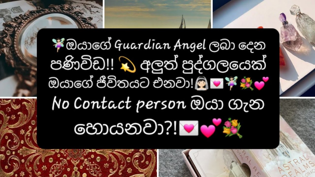 🧚🏻‍♀️ ඔයාගේ Guardian Angel ලබා දෙන පණිවිඩ!?💫 අලුත් පුද්ගලයෙක් ඔයාගේ ජීවිතයට එනවා!!👰🏻💌  