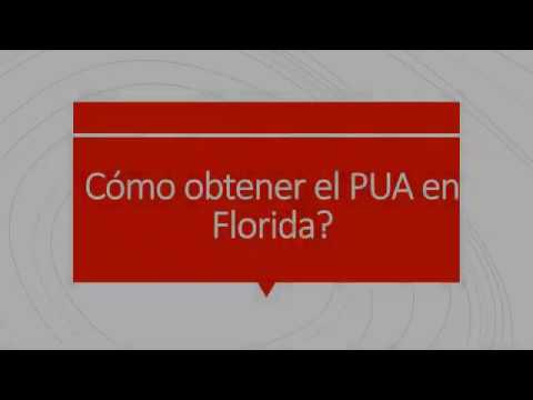 Cómo aplicar para el PUA en FLORIDA