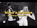 Islands in the Stream - Brett Eldredge & Meghan Trainor Version (Lyrics)
