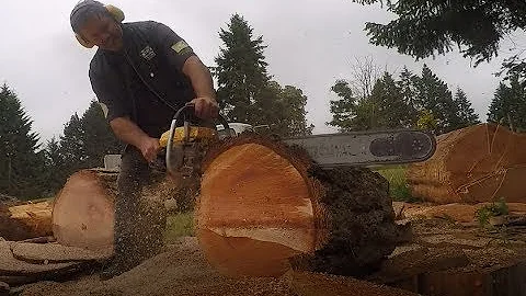 CHAIN SAW CUTTING CROOKED   , SKIP VS FULL SEQUENC...