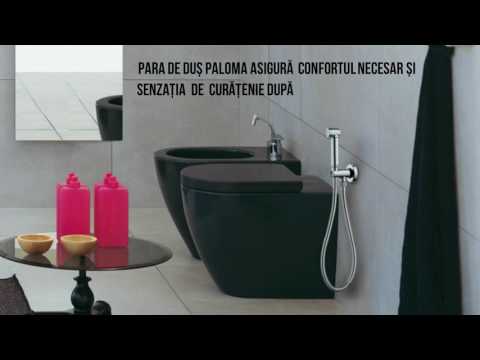 Video: Toaletă cu duș igienic. Duș igienic în loc de bideu