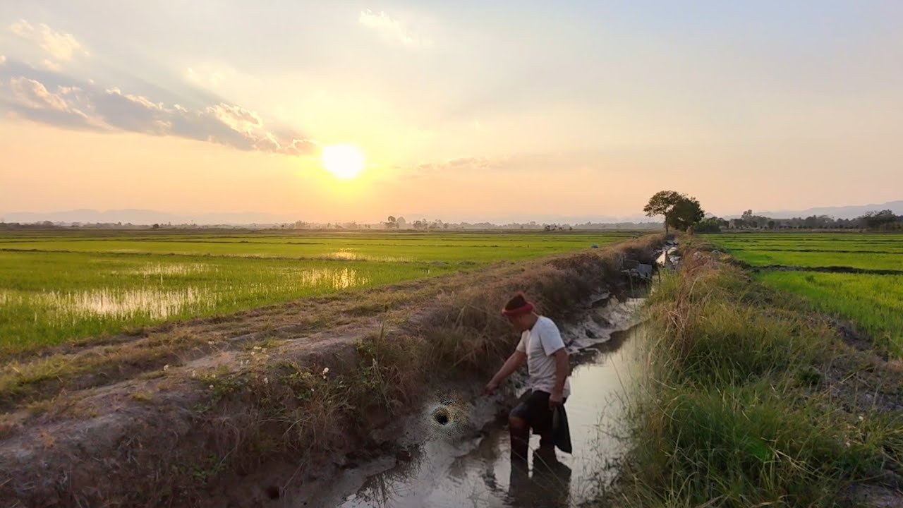 ลุ้นตัวโก่งลุยดงปลาไหลใหญ่เบ็ดเกือบเอาไม่อยู่